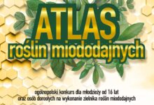 Konkurs dla młodzieży i dorosłych – „Atlas roślin miododajnych”